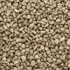 Talus, Fine Brown