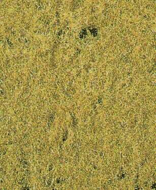 Lavt eng-gress høstfarget