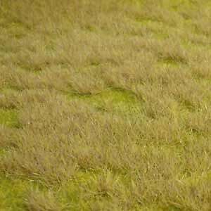 Vildgressmatte savanne