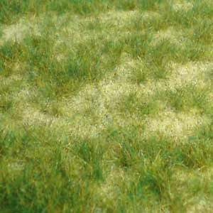 Vildgressmatte sommer