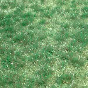 Vildgressmatte skogbunn