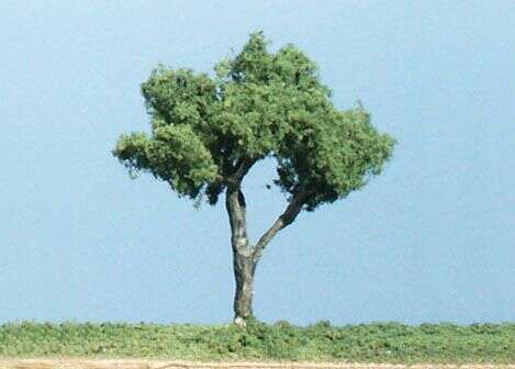 Woodland, 4 1/2 Gnarled Tree 2 Trees