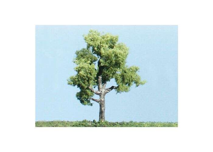 Woodland, 2 Shade trees