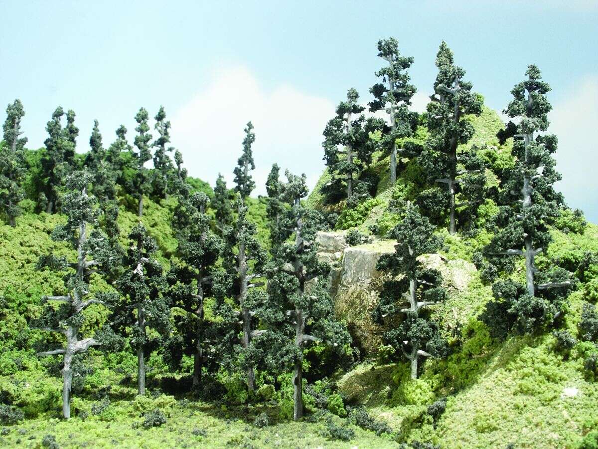 Woodland, Pine Forest - 24 trees