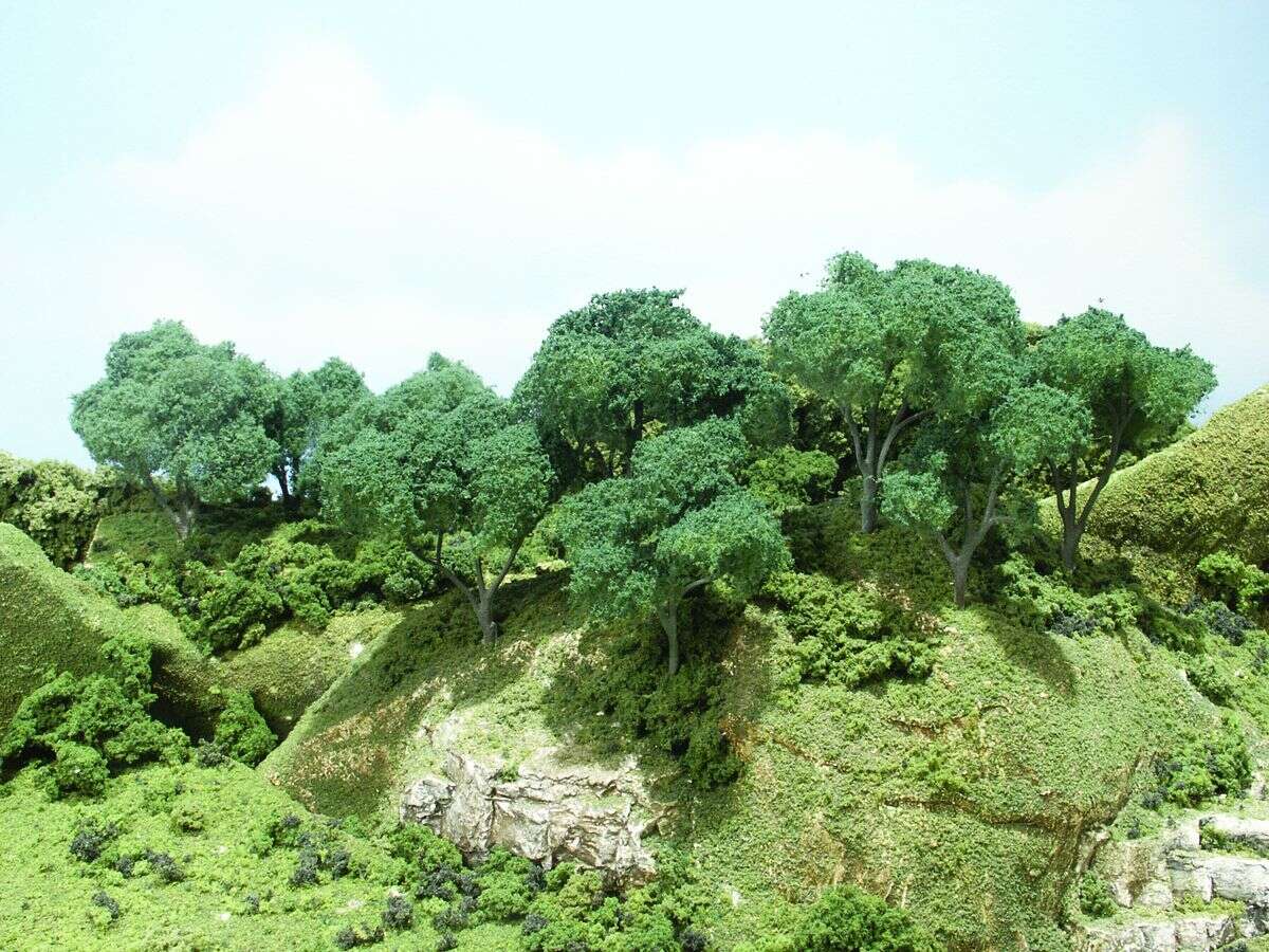 Woodland, Hardwood Forest - 24 trees