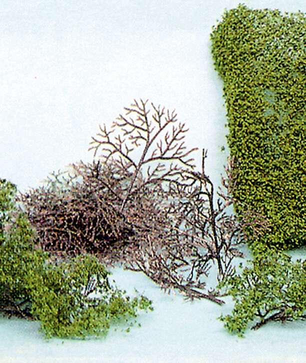 Heki, 15 busker byggesett 2-6cm