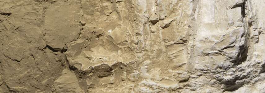 Woodland Yellow Ocher