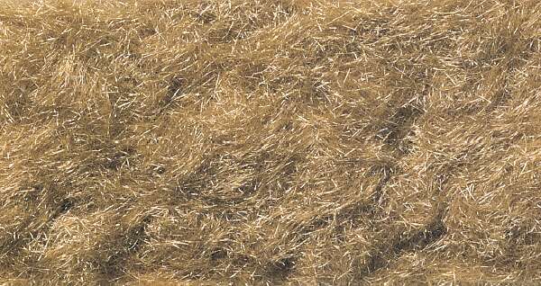Static grass, Harve. Gold