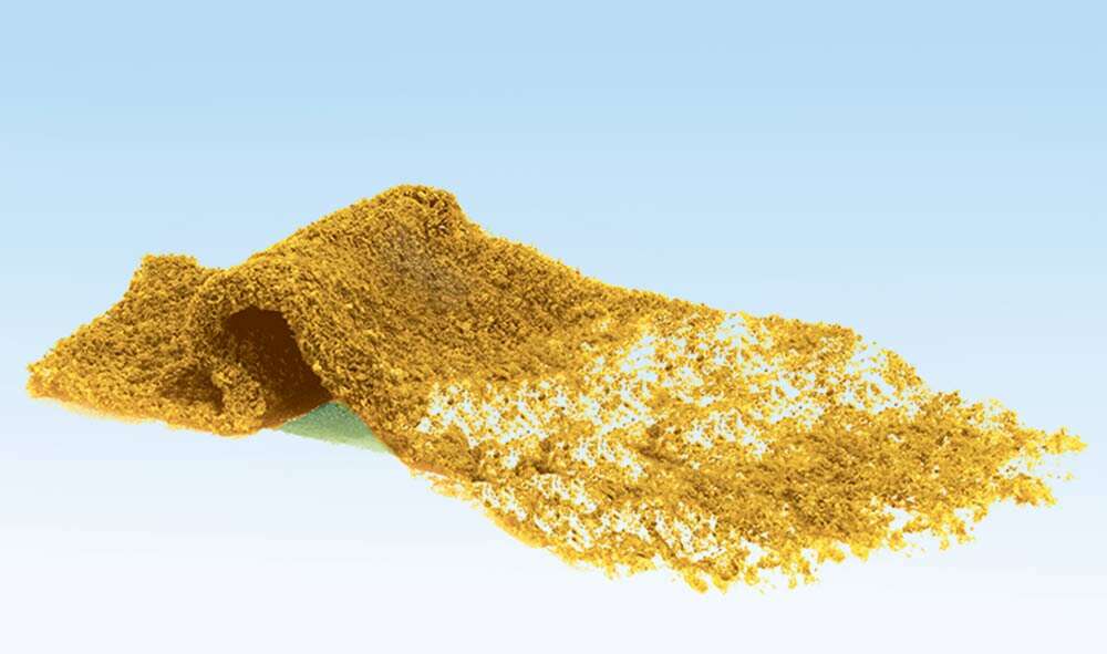 Flowering Foliage yellow