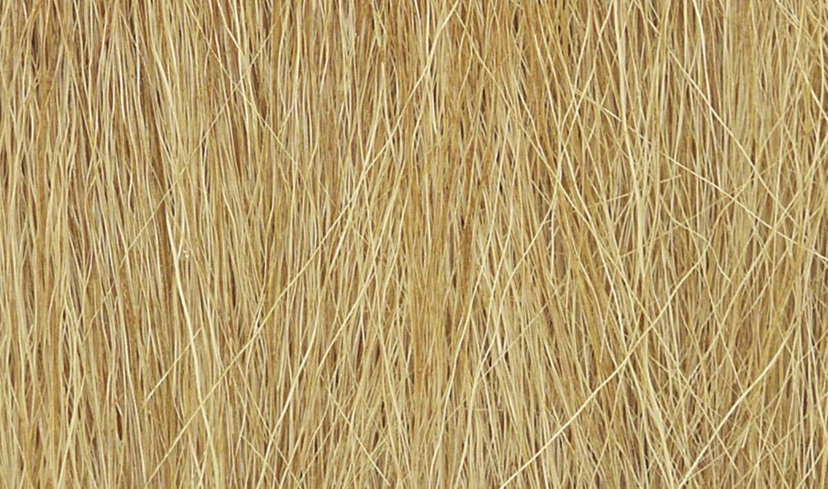 Field grass, Harvest Gold