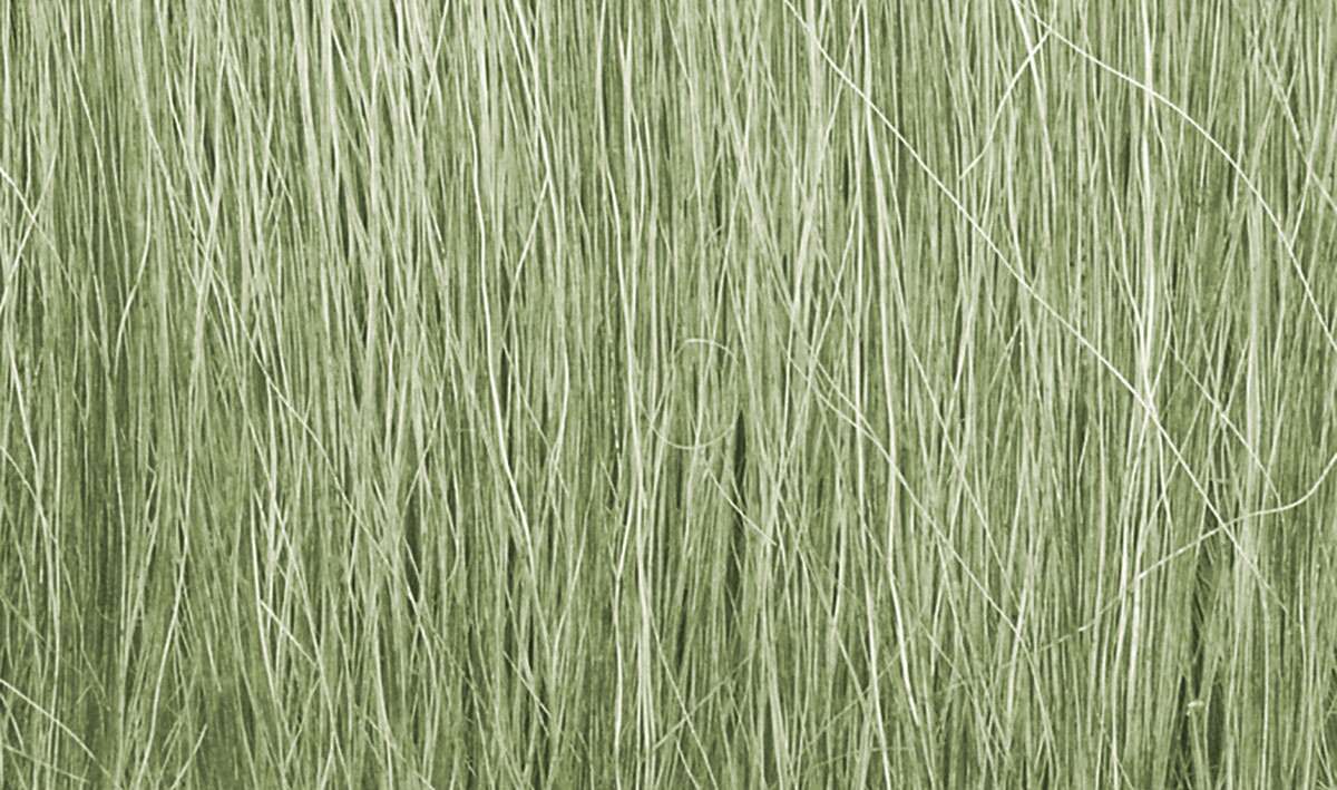 Field grass, Light Green