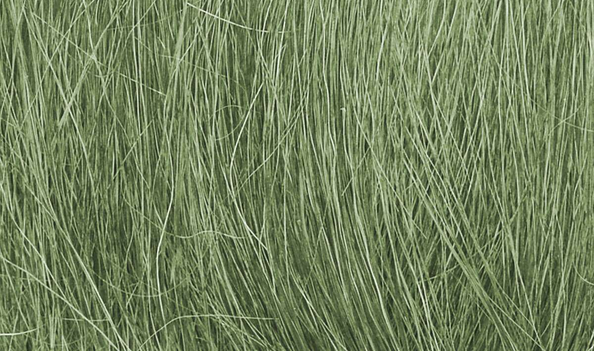 Field grass, Medium Green