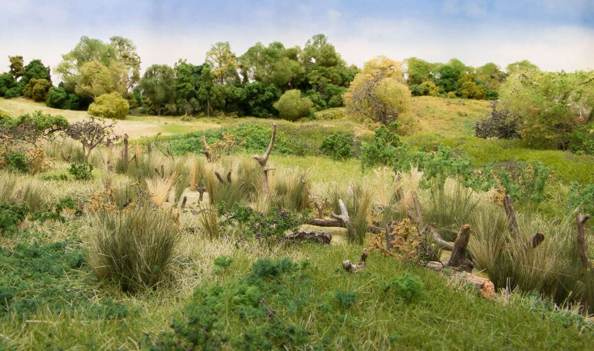 Field grass, Medium Green