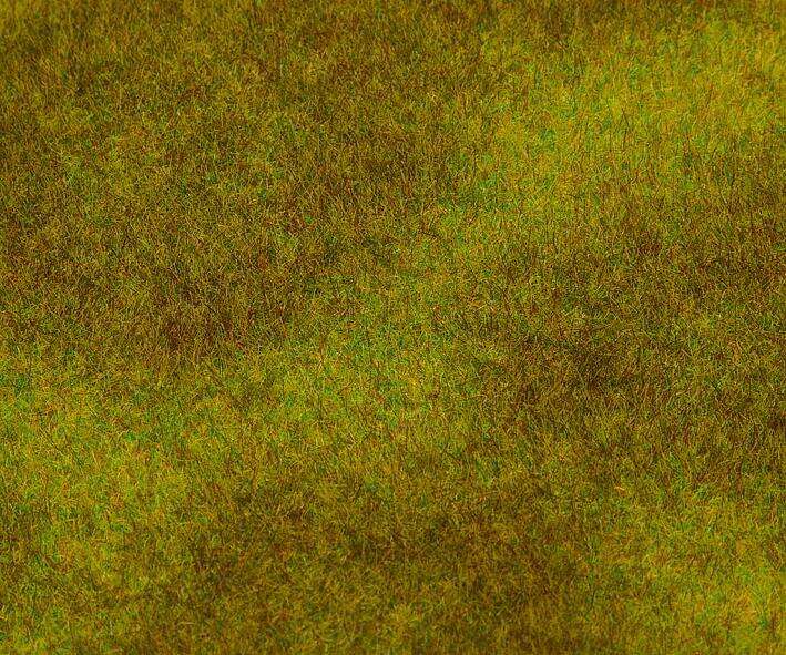 PREMIUM Landscape segment, Meadow, dark