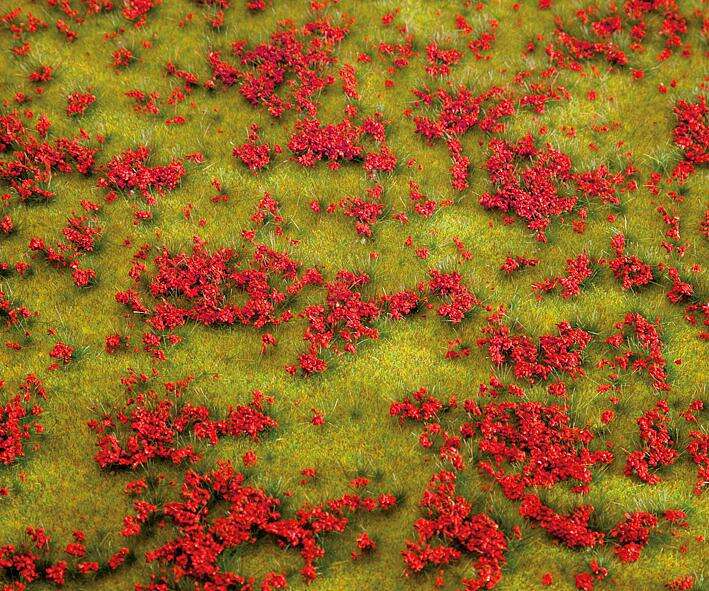 PREMIUM Landscape segment, Flowering meadow, red