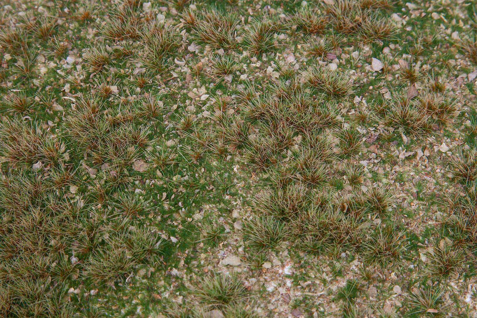 PREMIUM Landscape segment, Field of wild herbs