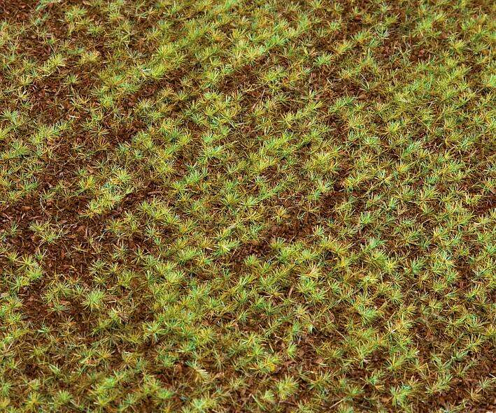 PREMIUM Landscape segment, Field