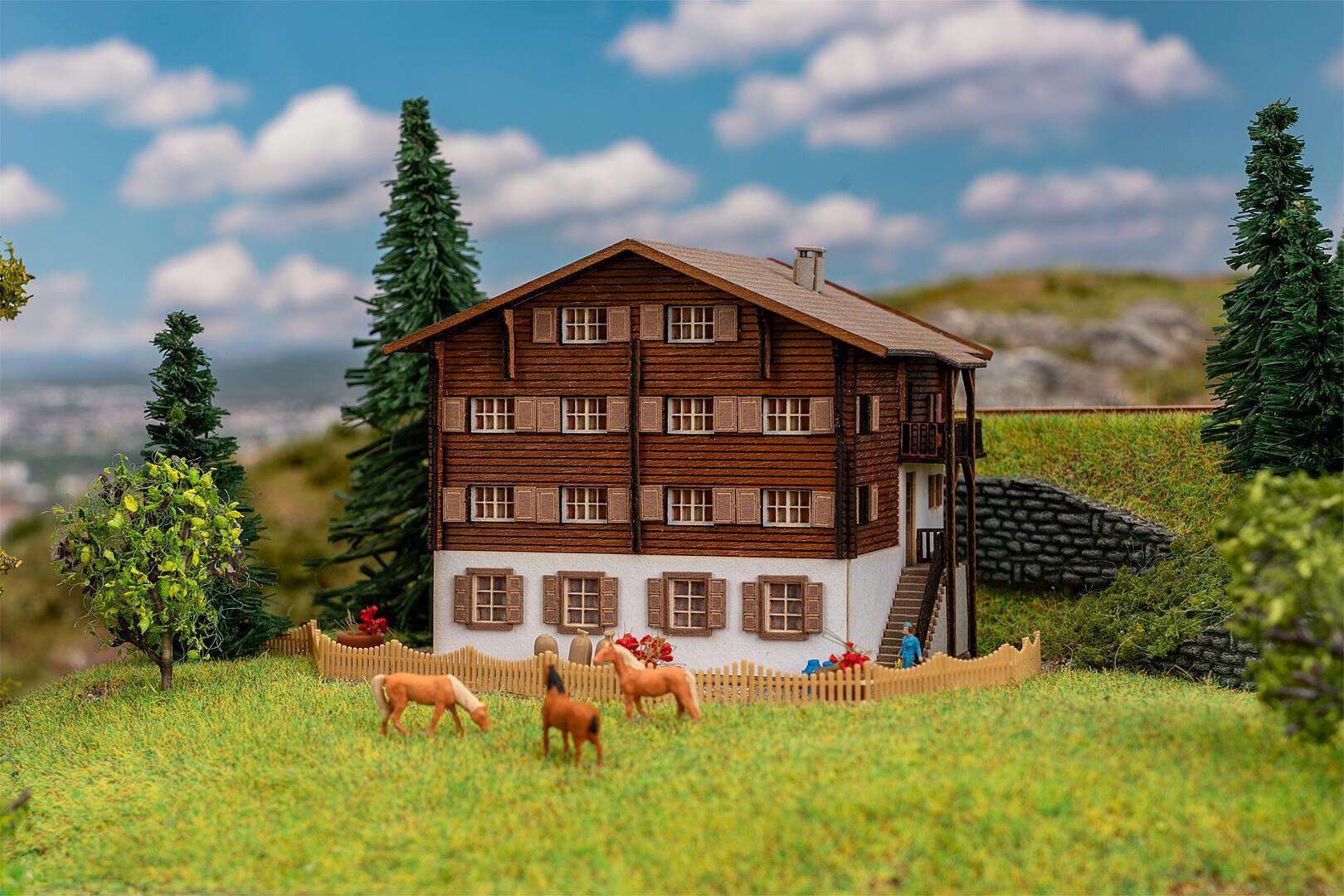 Langwies Alpine lodge