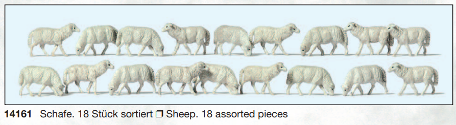 Sheeps
