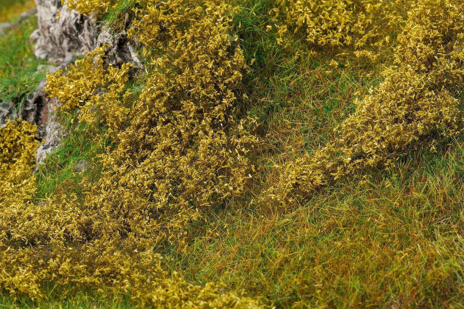 Clump foliage, light green