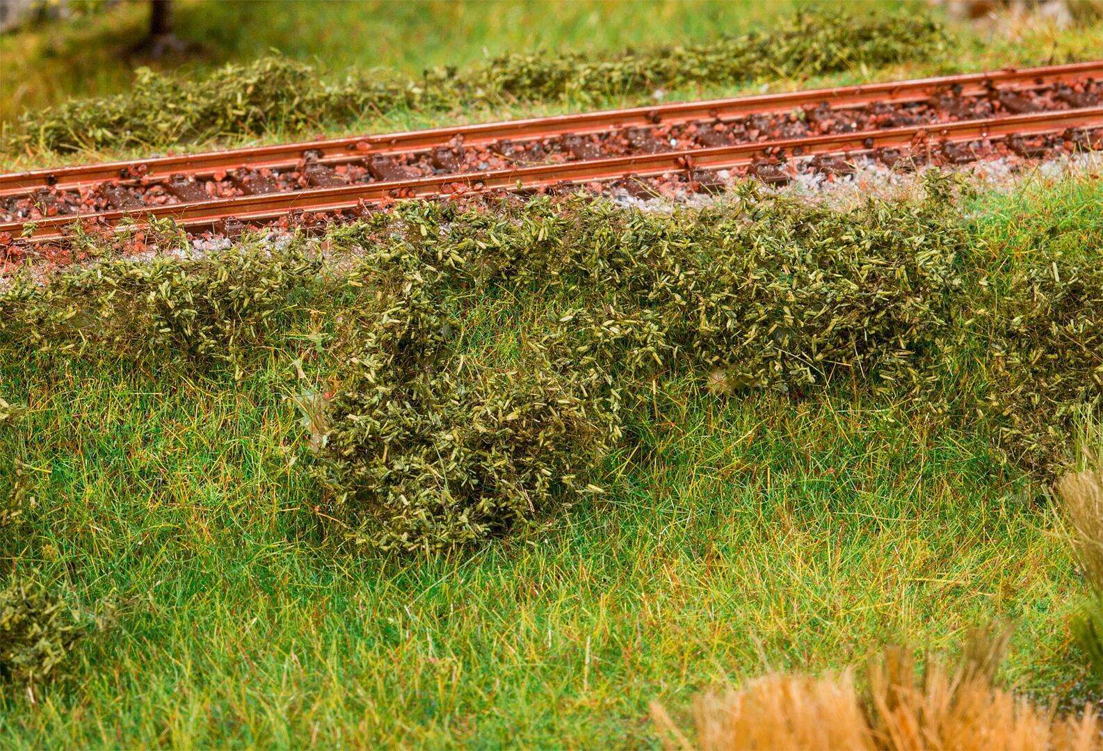 Clump foliage, dark green