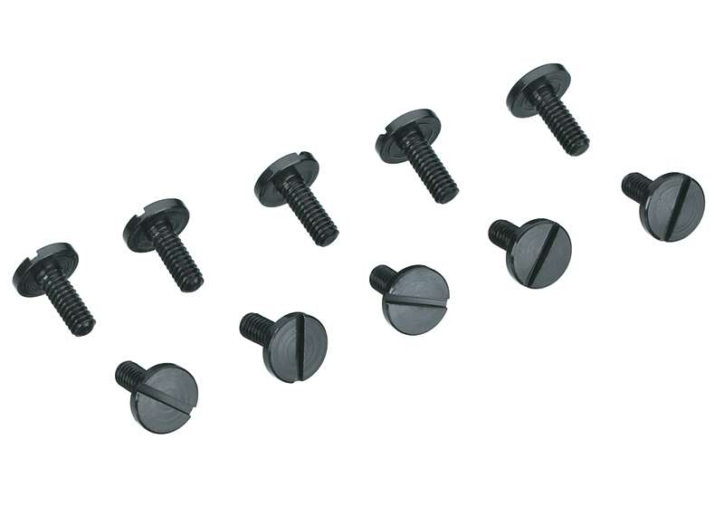 Cheese Head Screw10 pcs