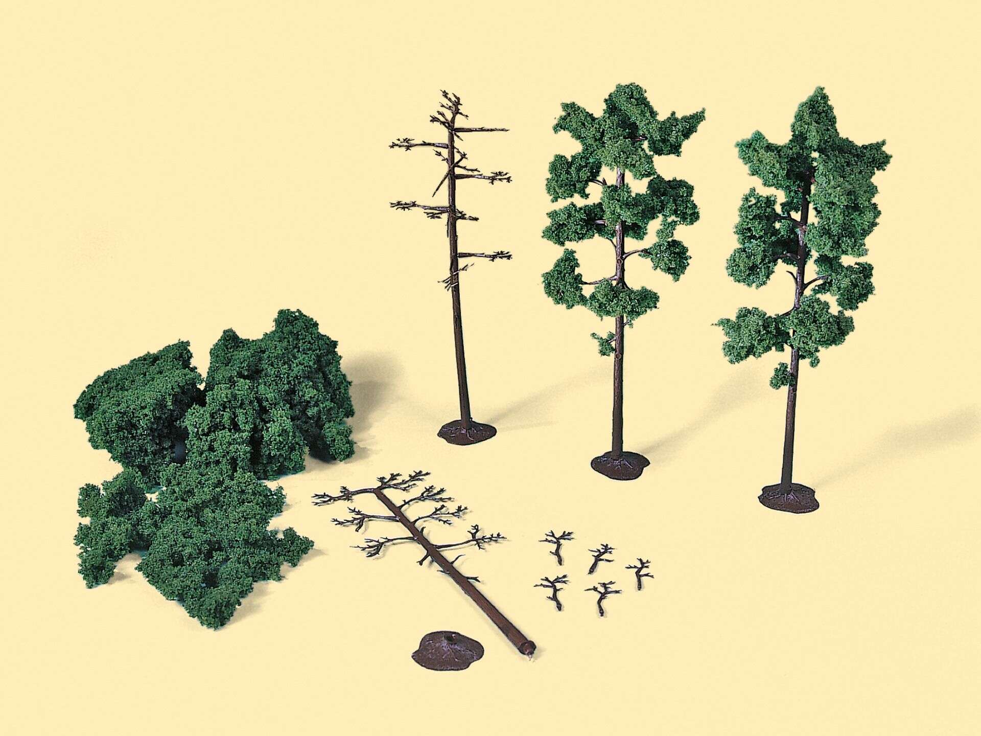 Evergreen tree trunks with foliage