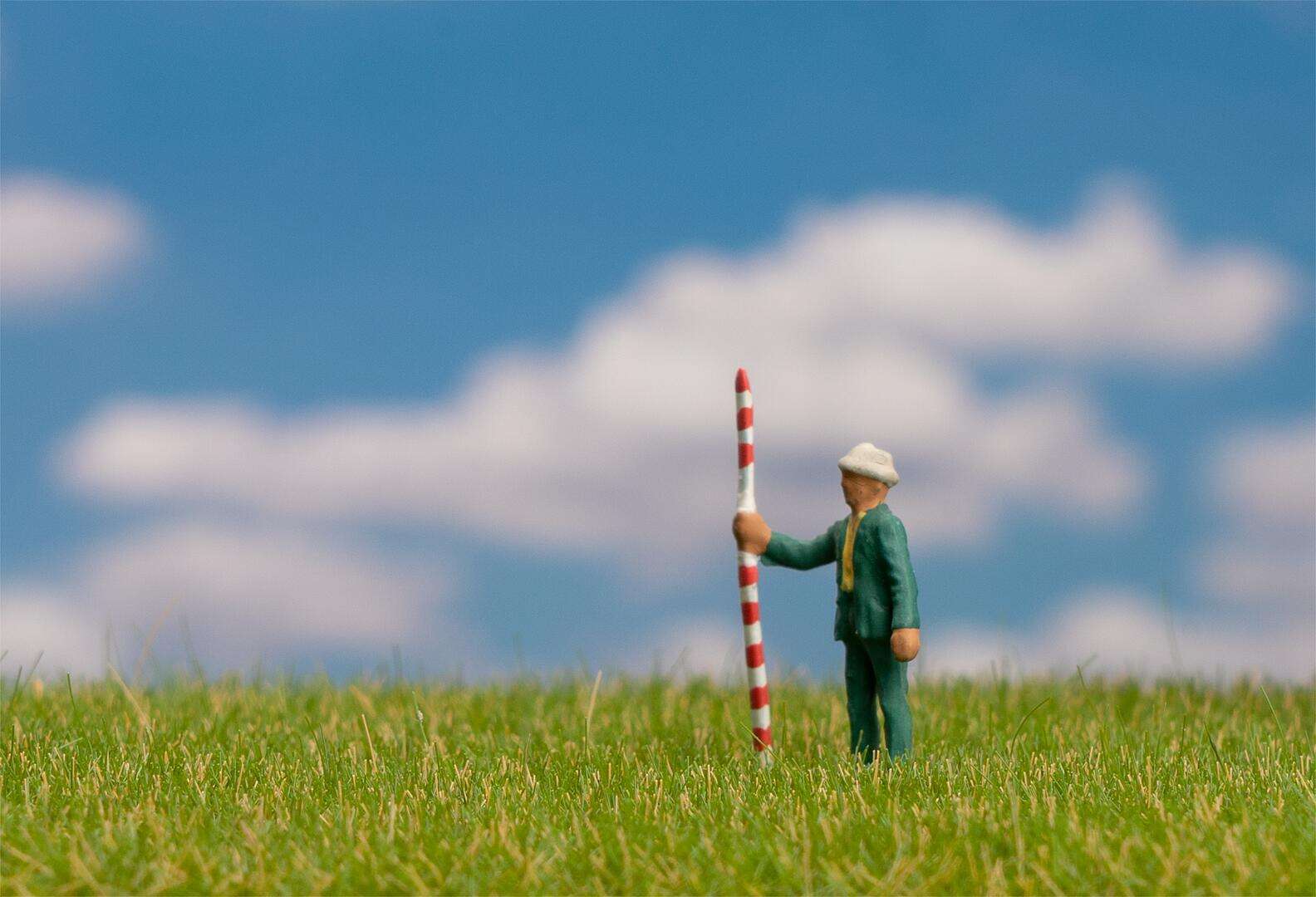 Wild grass ground cover fibres, Summer lawn, 4 mm, 1 kg