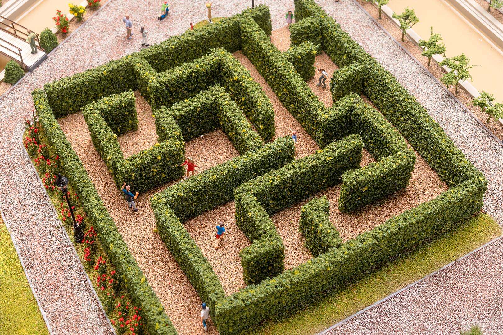 Maze