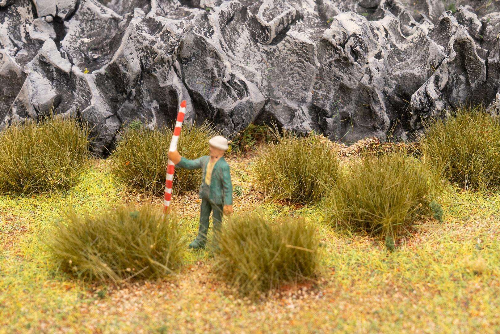 Large tufts of grass, dry grass