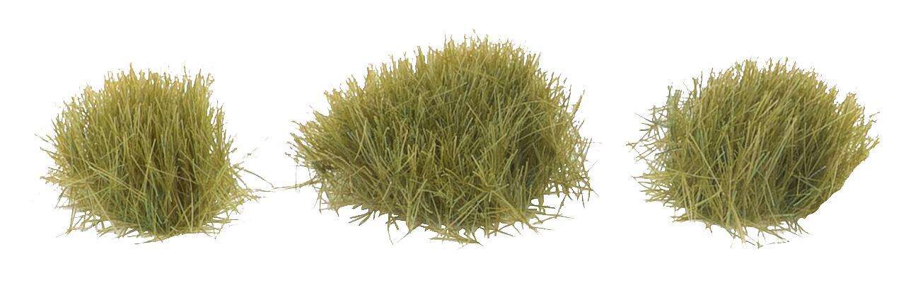 Large tufts of grass, dry grass