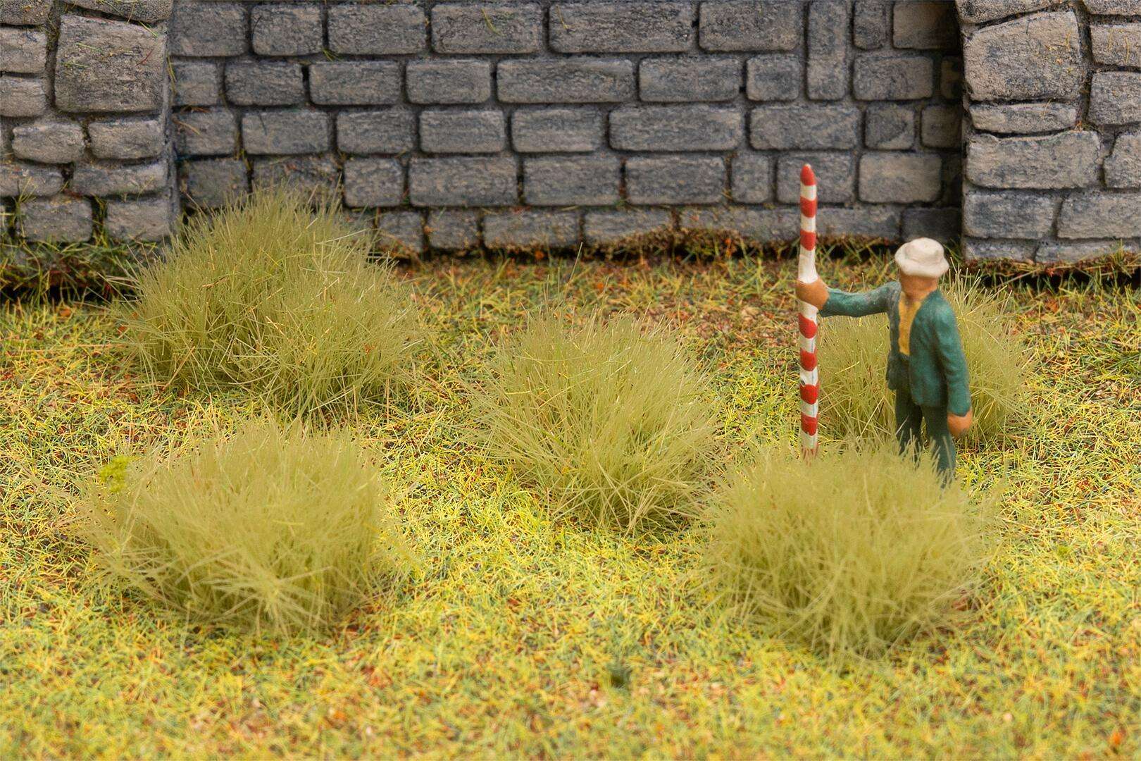 Large tufts of grass, light green