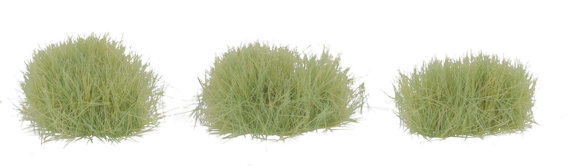 Large tufts of grass, light green