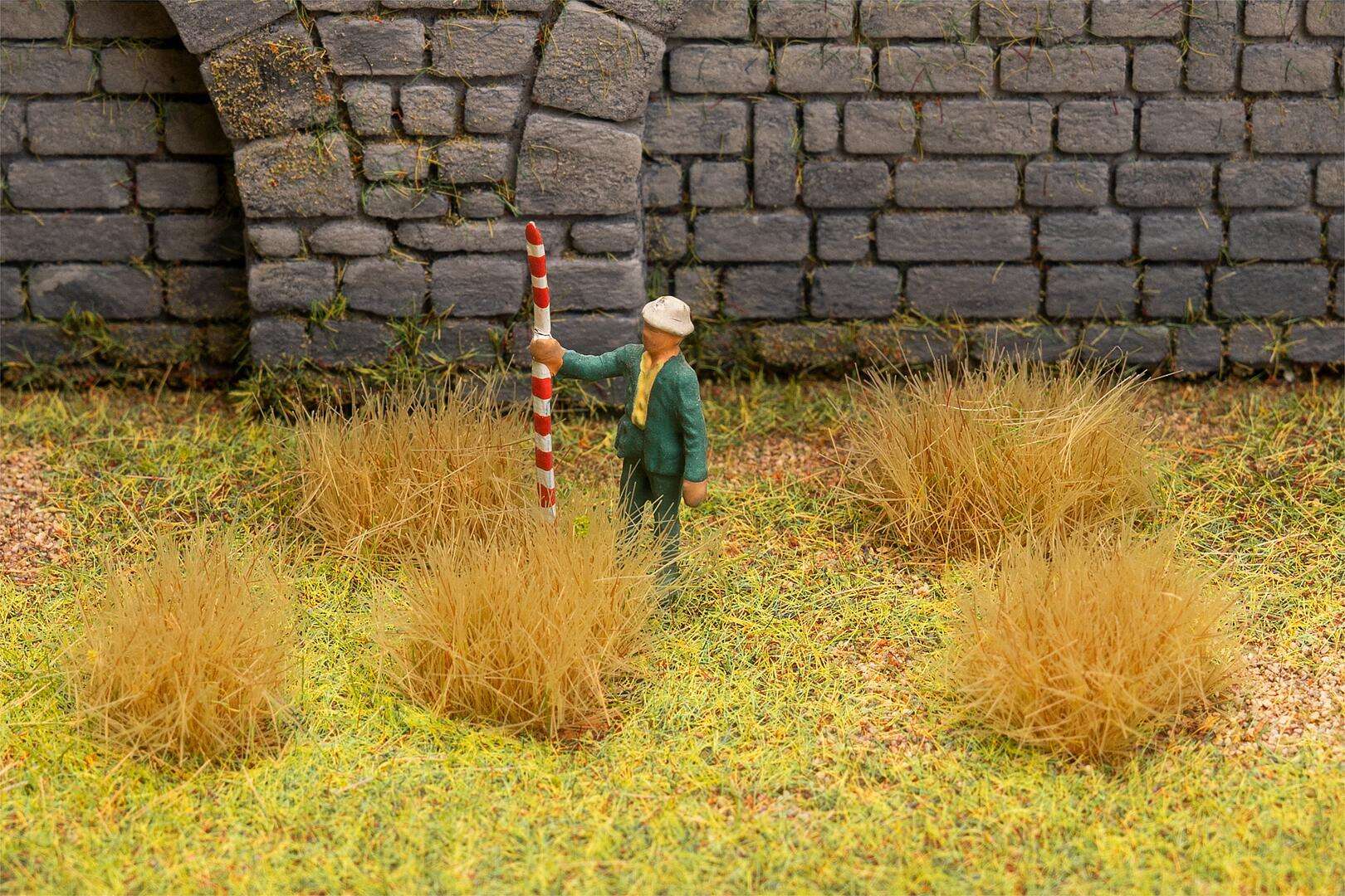 Large tufts of grass, beige