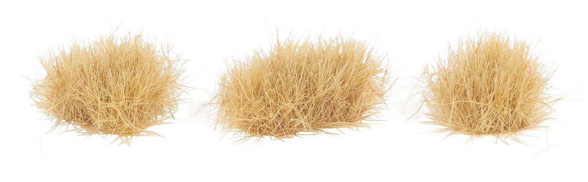 Large tufts of grass, beige