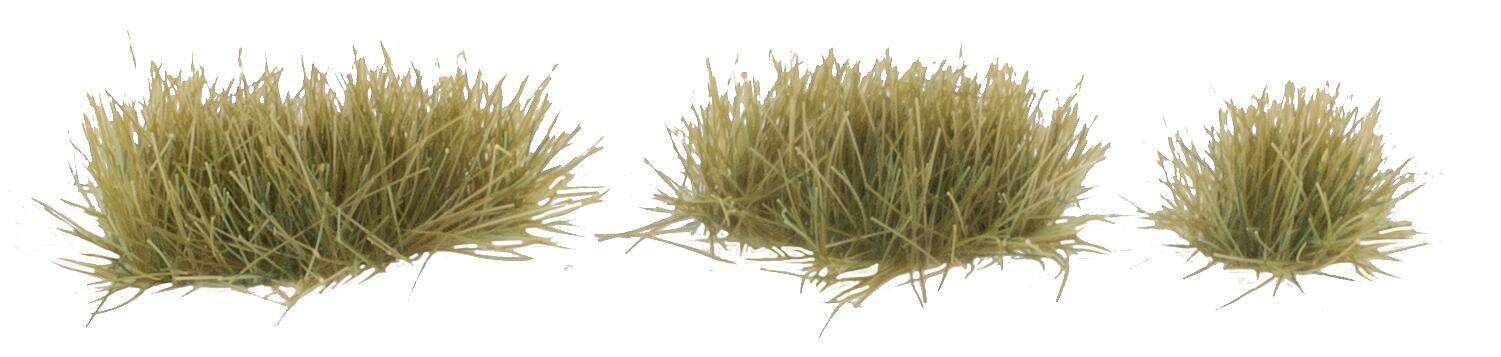 Tufts of grass, dry grass