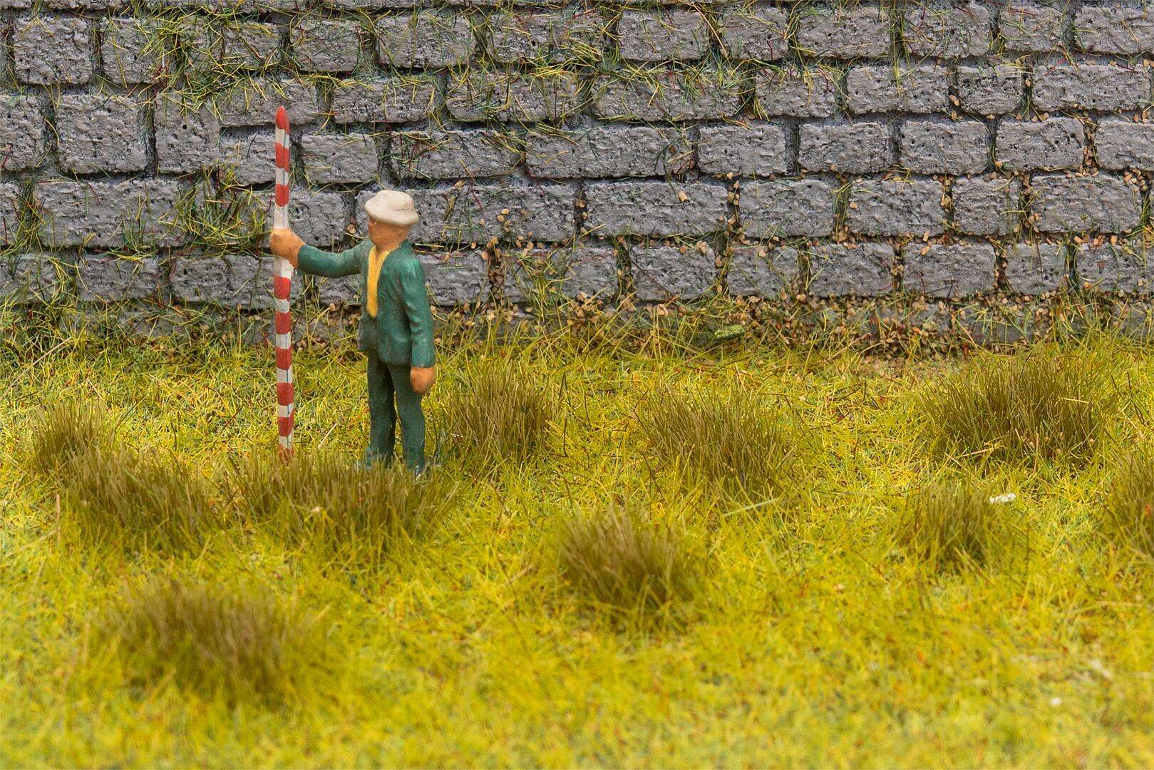 Tufts of grass, dry grass