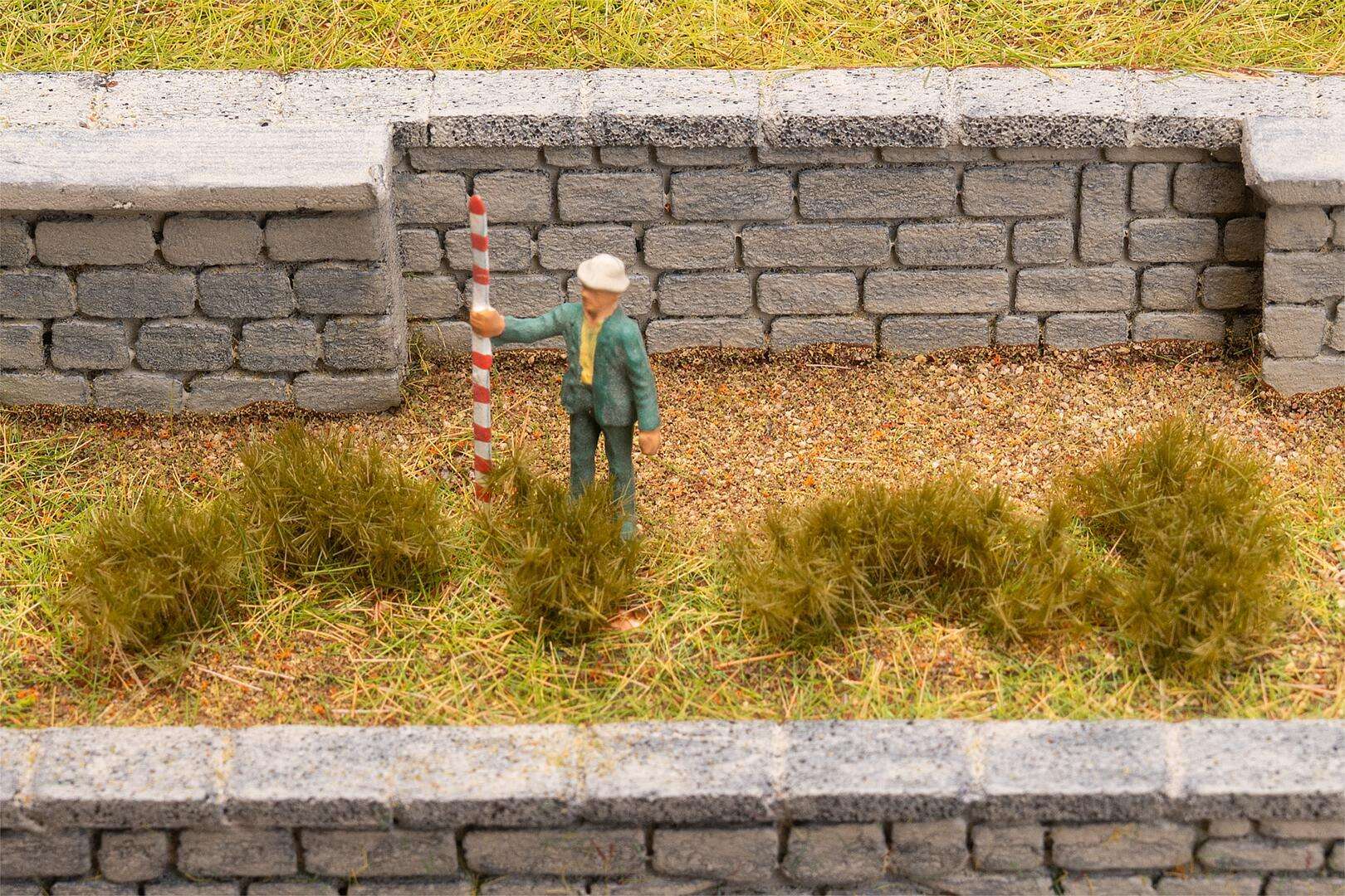 Tufts of grass, dark green