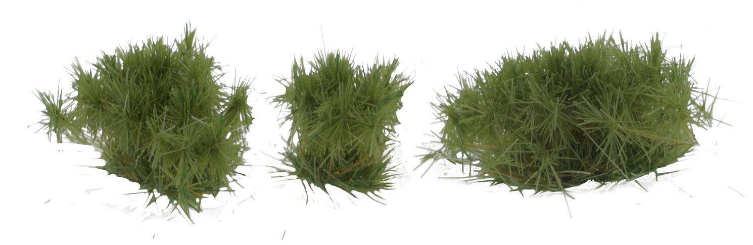 Tufts of grass, dark green