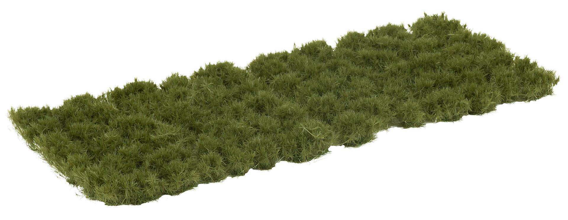 Tufts of grass, dark green