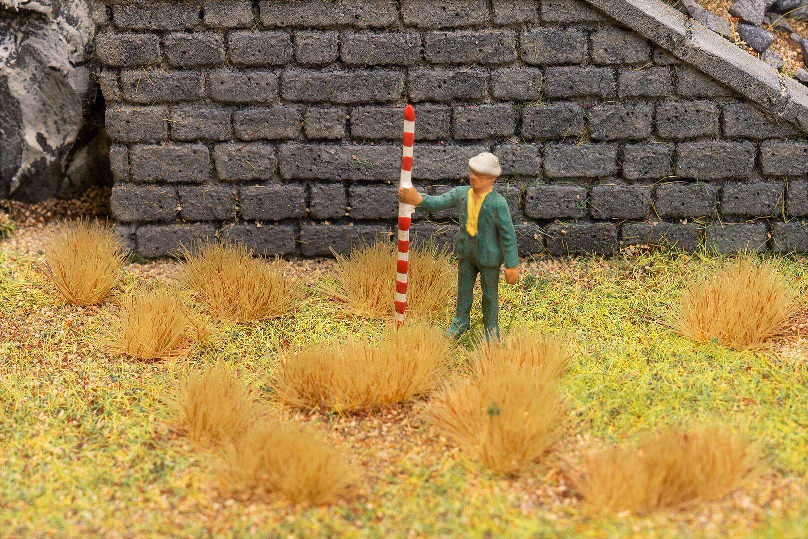 Tufts of grass, beige