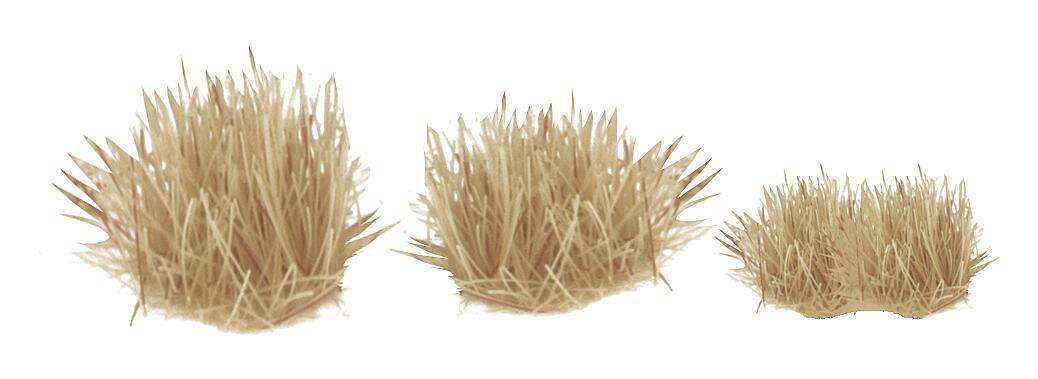 Tufts of grass, beige