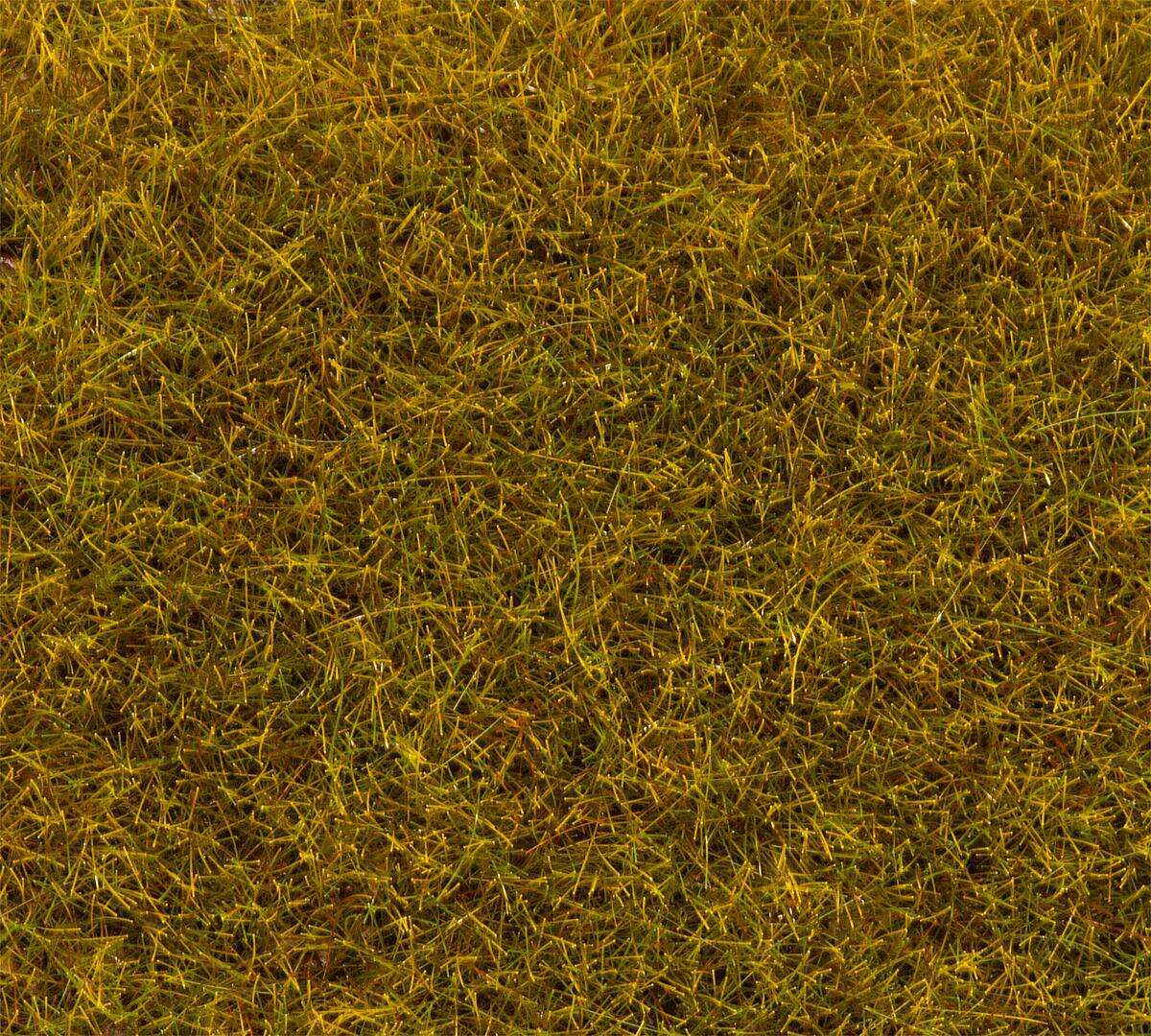 PREMIUM Ground cover fibres Meadow green, 6 mm, Large Pack, 80 g