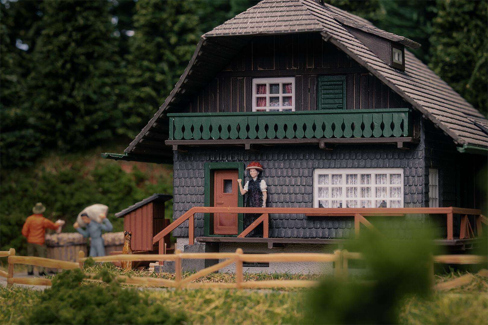 Black Forest house with figure Anniversary model