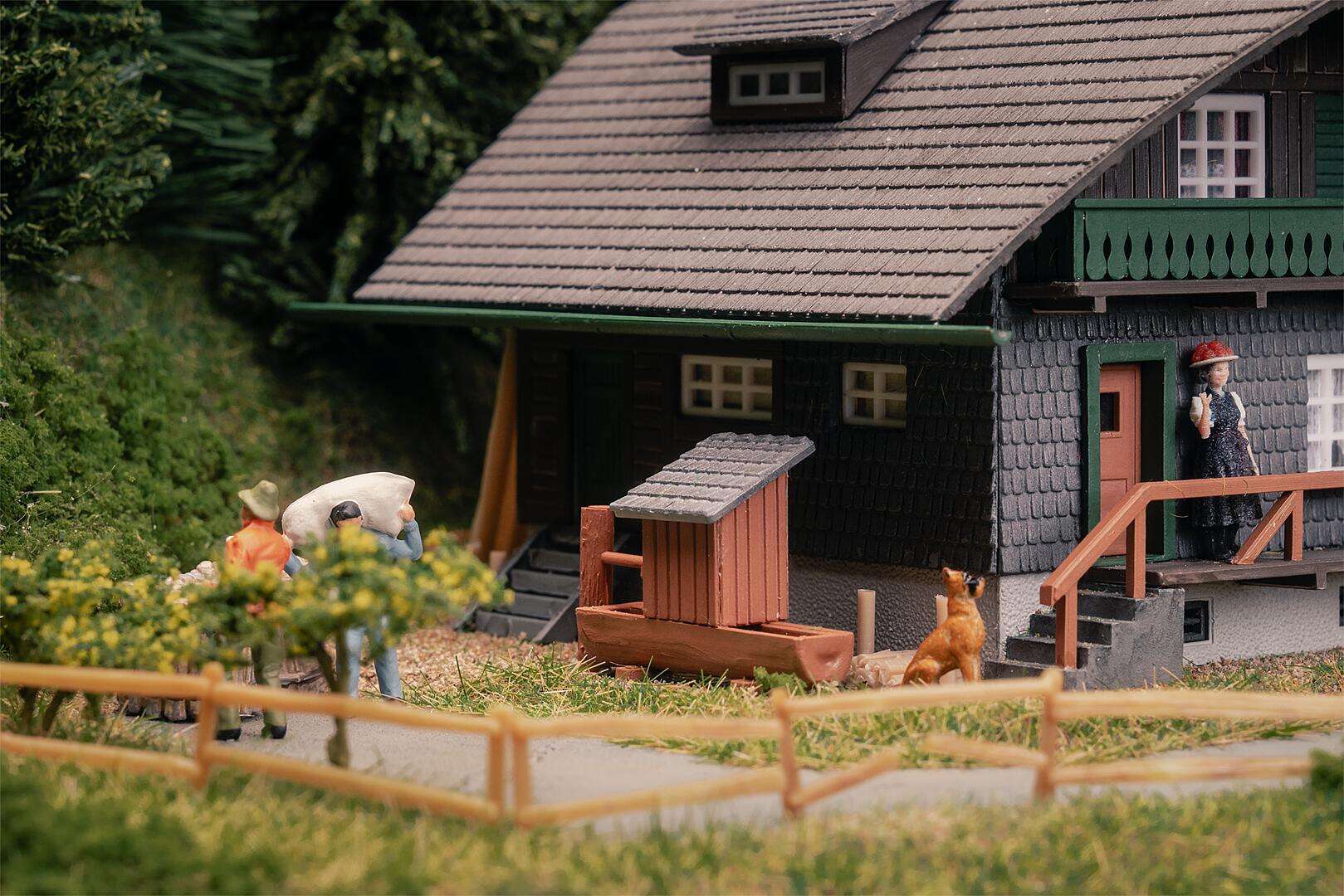 Black Forest house with figure Anniversary model
