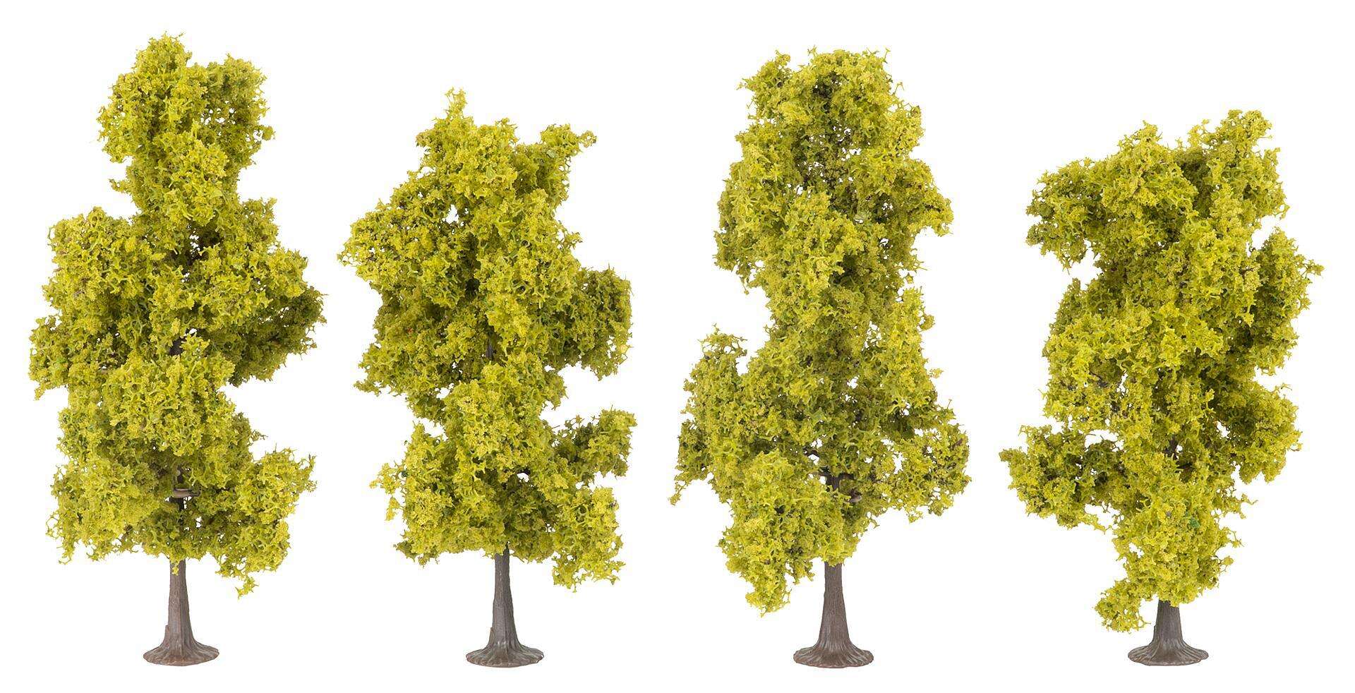4 Deciduous trees, light green